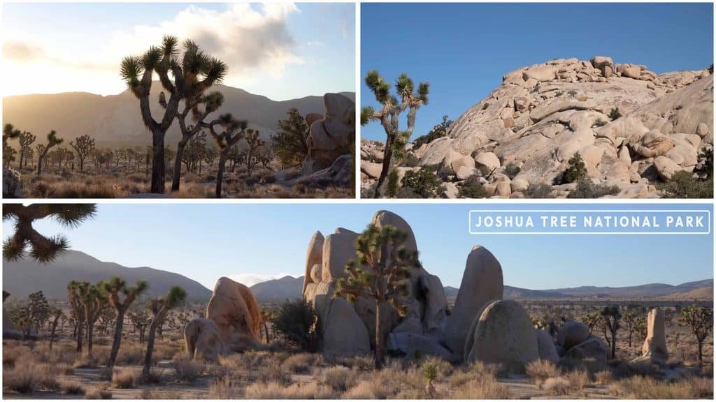Joshua tree national park solo trip guide