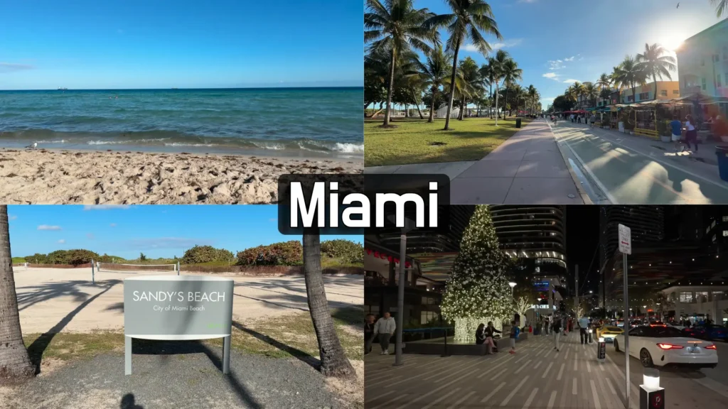 miami best things to do for solo traveling, solo traveling in florida