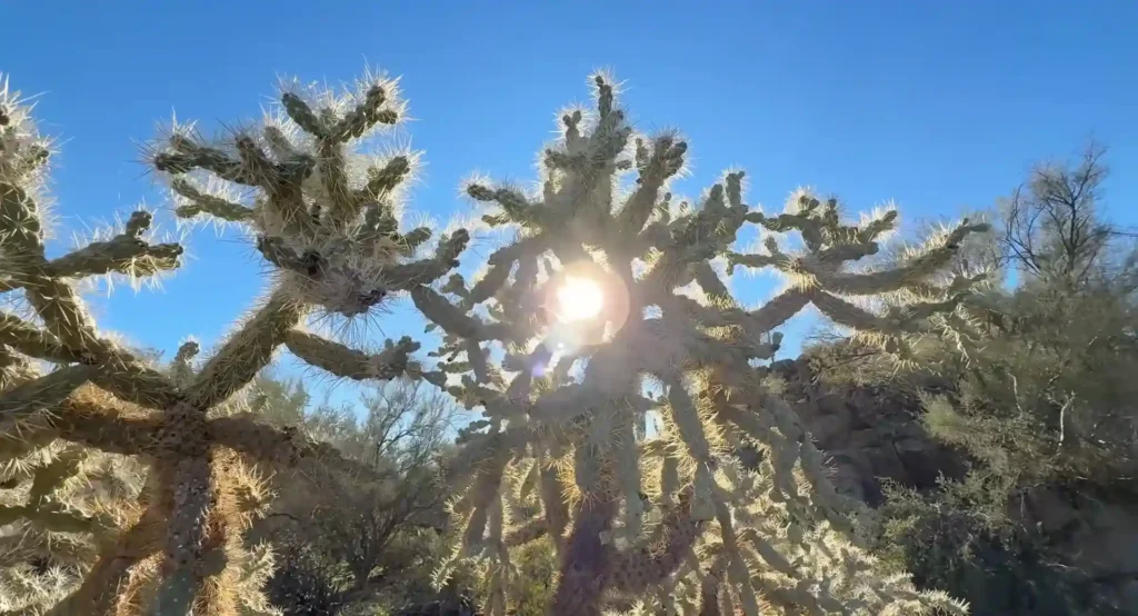 arizona solo travel 