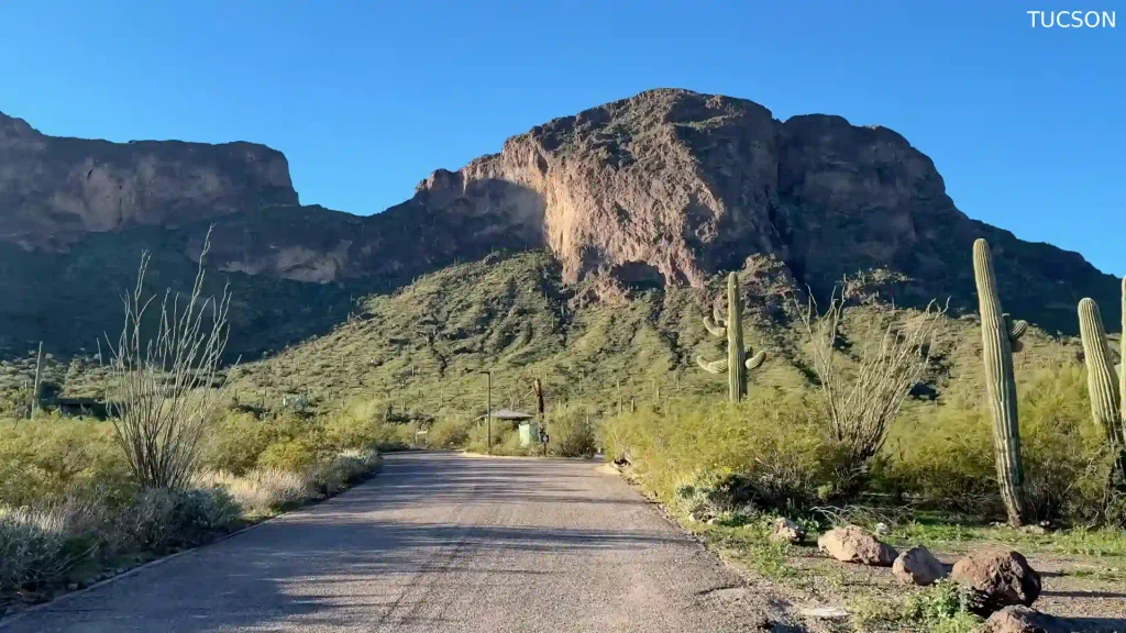 Tucson
